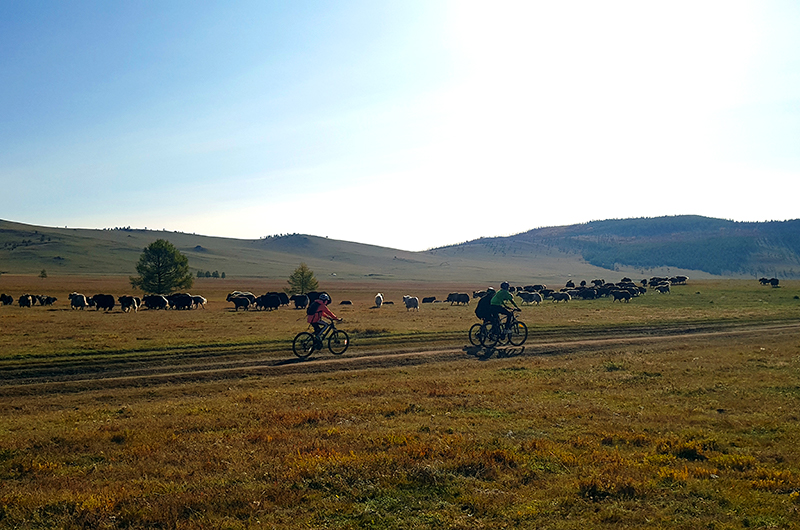 Biking in Mongolia